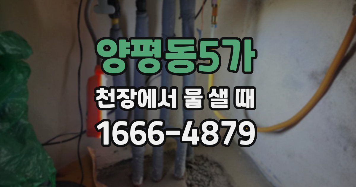 양평동5가 천장에서 물 샐 때