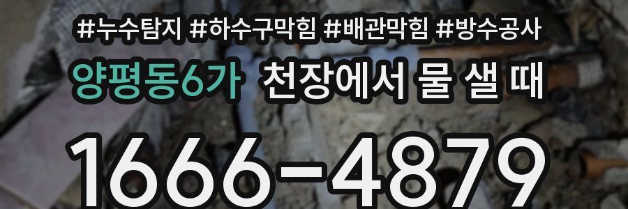 양평동6가 천장에서 물 샐 때