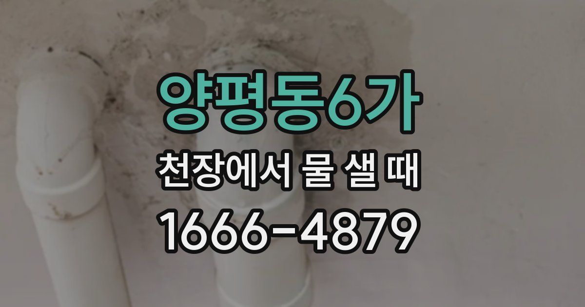 양평동6가 천장에서 물 샐 때