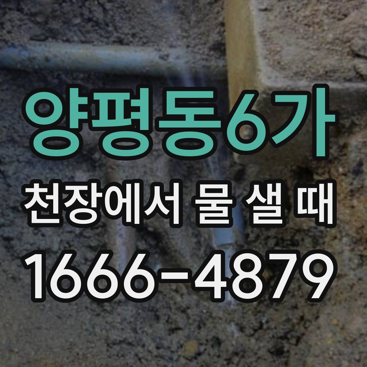 양평동6가 천장에서 물 샐 때