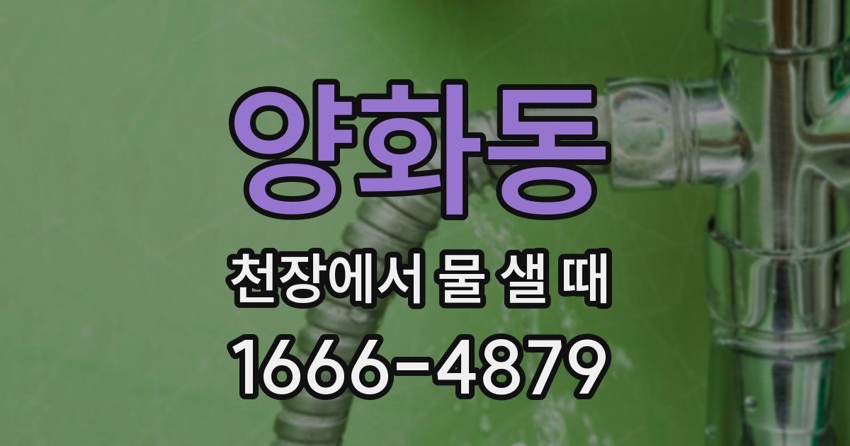 양화동 천장에서 물 샐 때