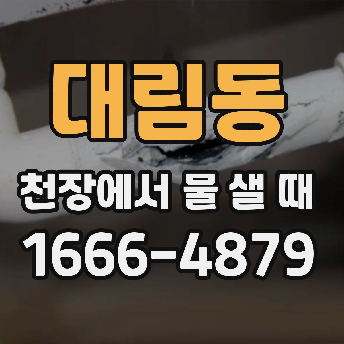 대림동 천장에서 물 샐 때