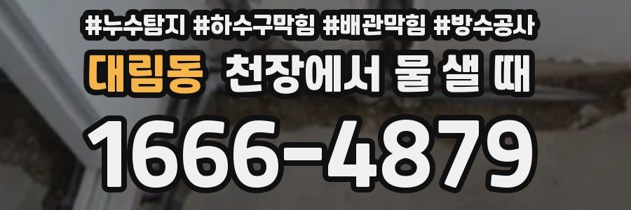 대림동 천장에서 물 샐 때