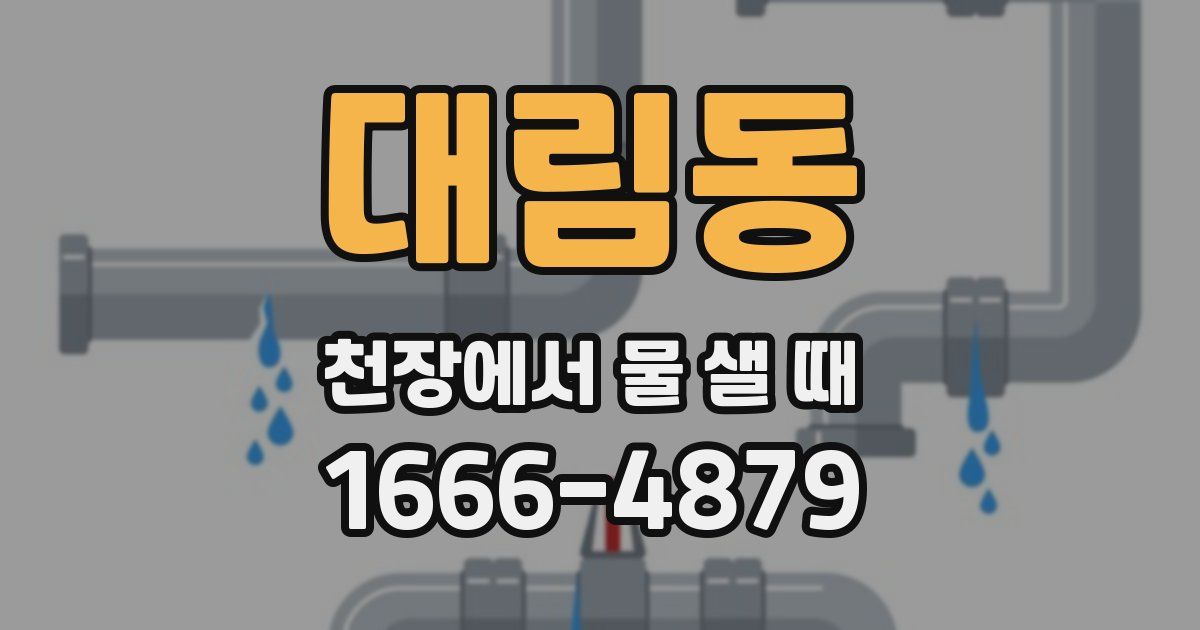대림동 천장에서 물 샐 때