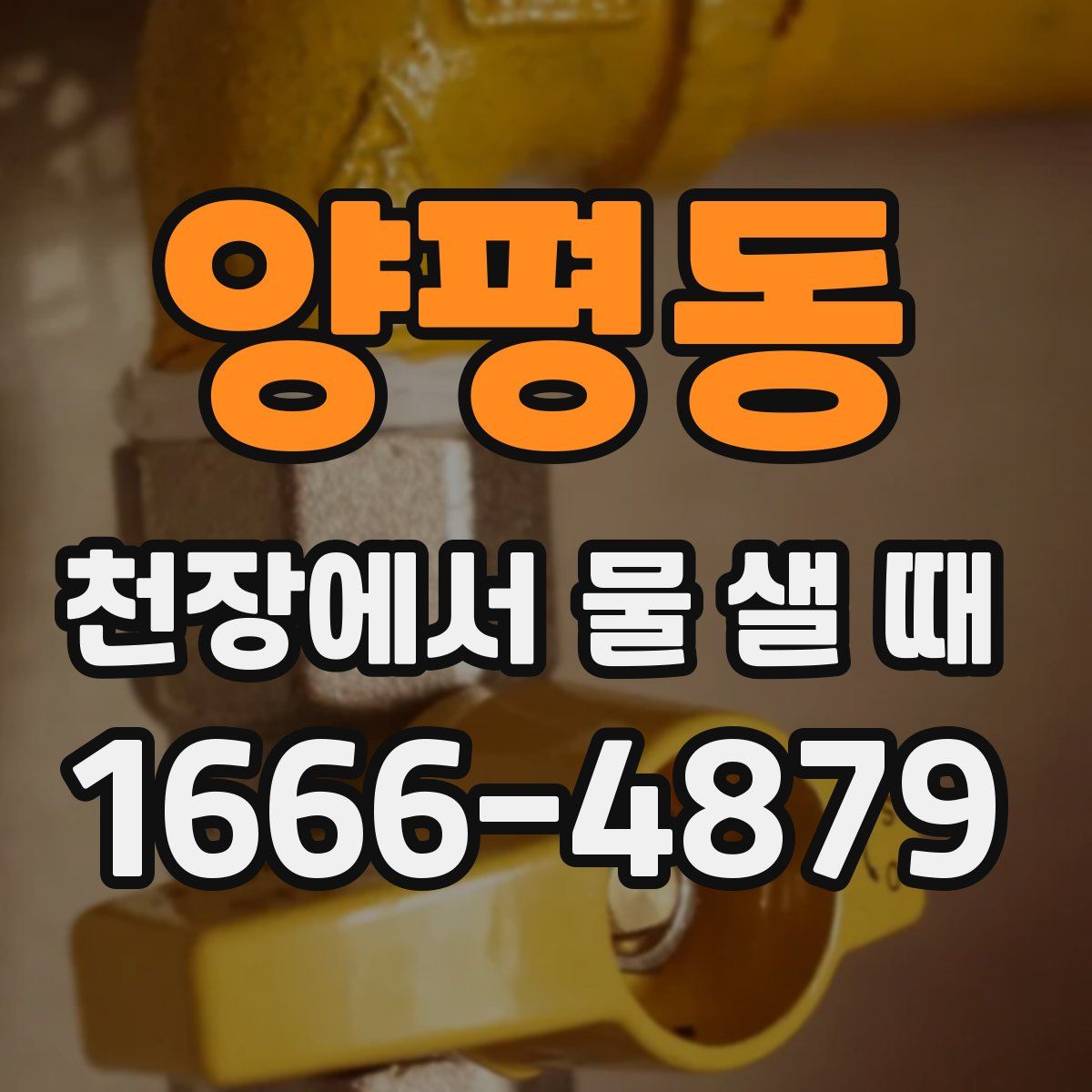 양평동 천장에서 물 샐 때