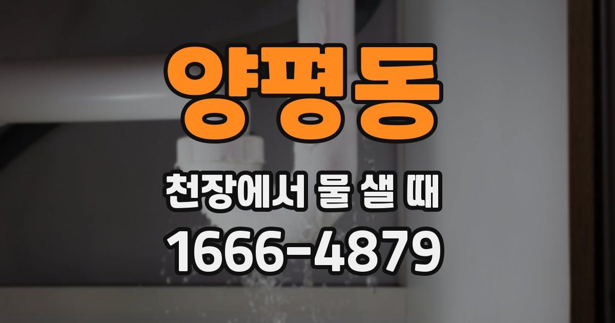 양평동 천장에서 물 샐 때