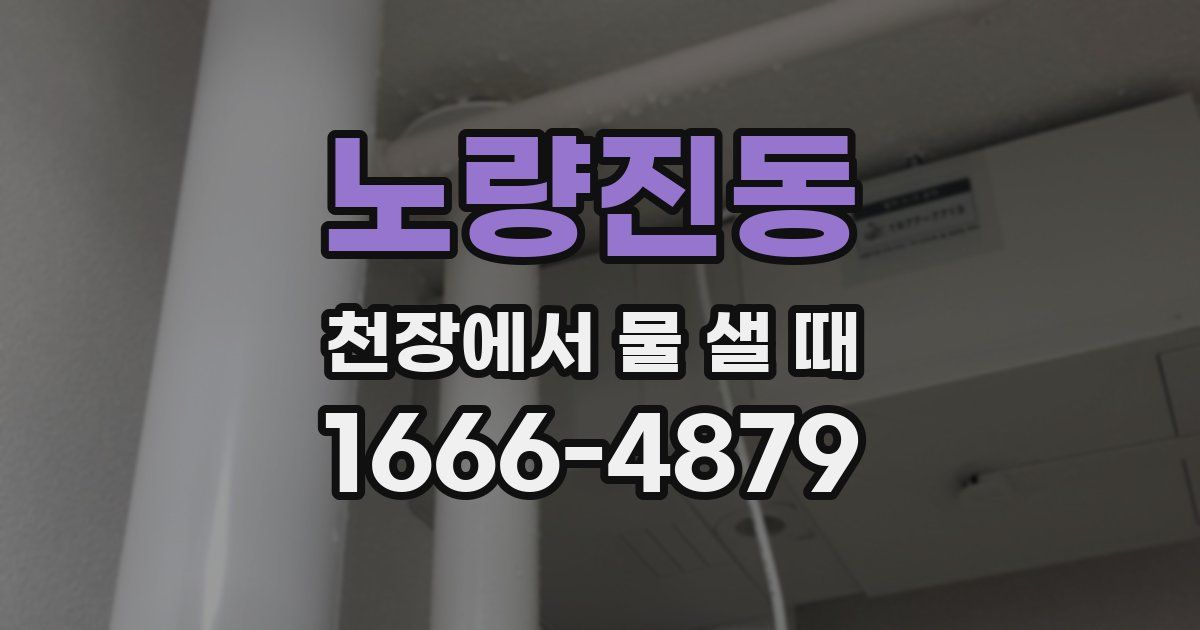 노량진동 천장에서 물 샐 때