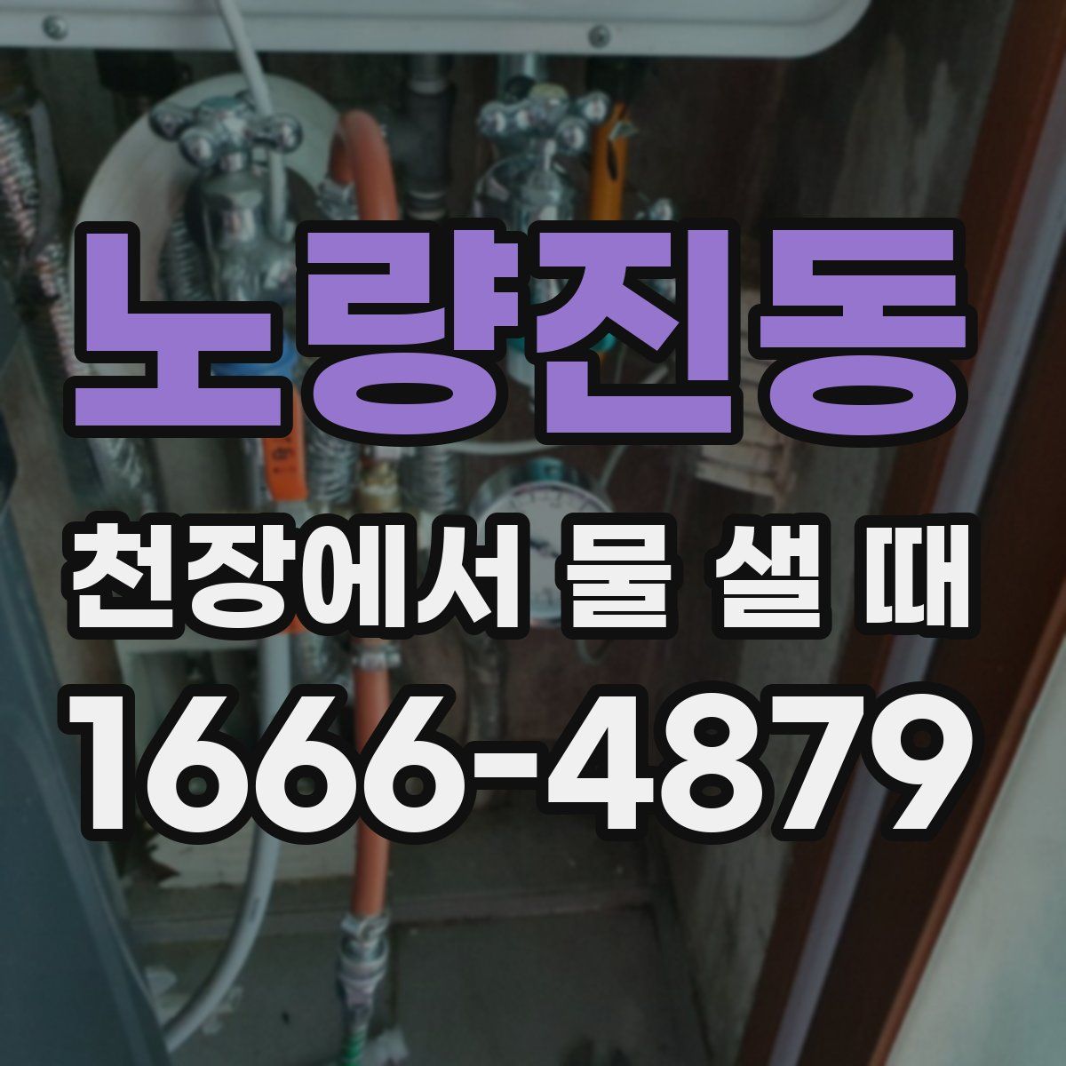 노량진동 천장에서 물 샐 때
