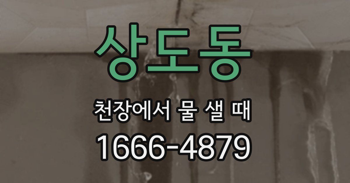 상도동 천장에서 물 샐 때