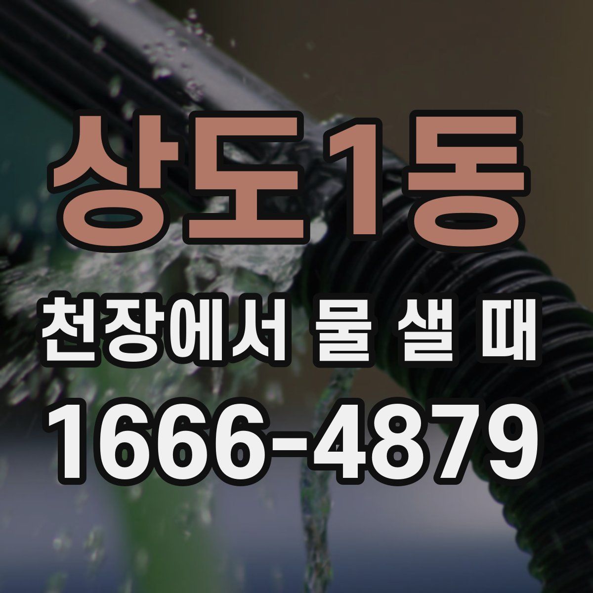 상도1동 천장에서 물 샐 때