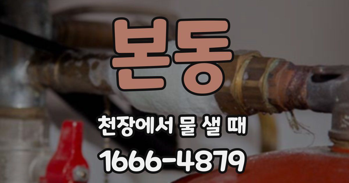본동 천장에서 물 샐 때