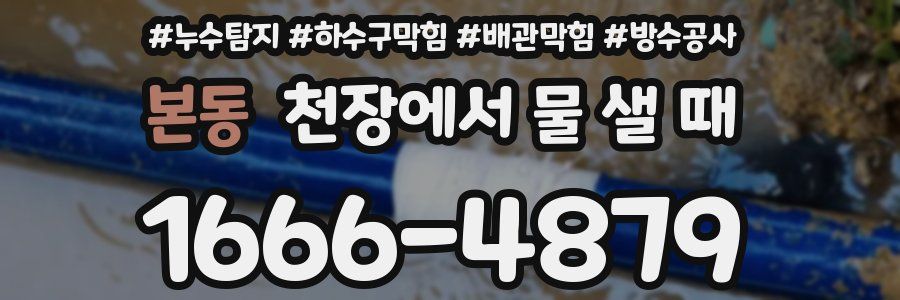 본동 천장에서 물 샐 때