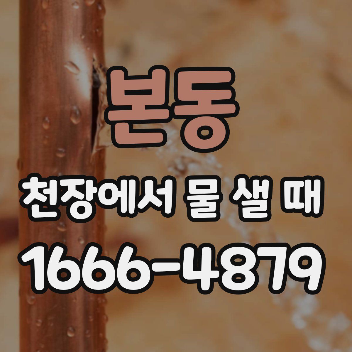 본동 천장에서 물 샐 때