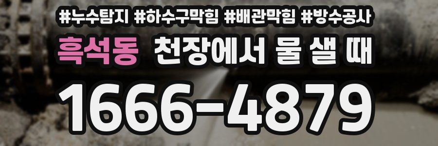 흑석동 천장에서 물 샐 때