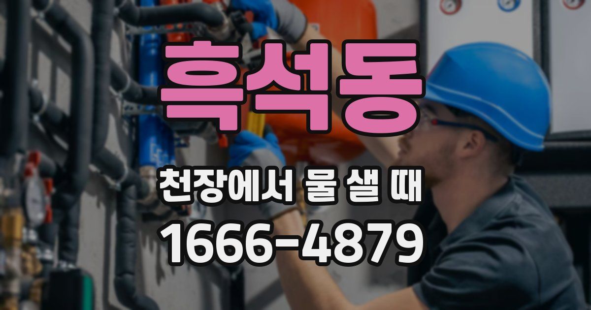 흑석동 천장에서 물 샐 때