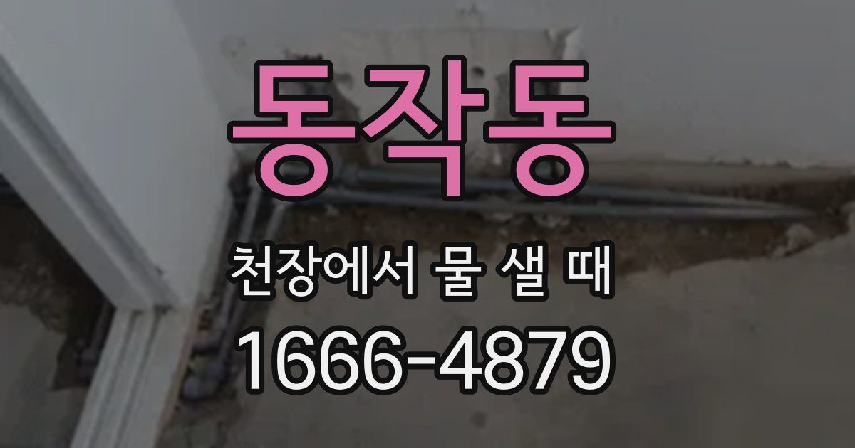 동작동 천장에서 물 샐 때