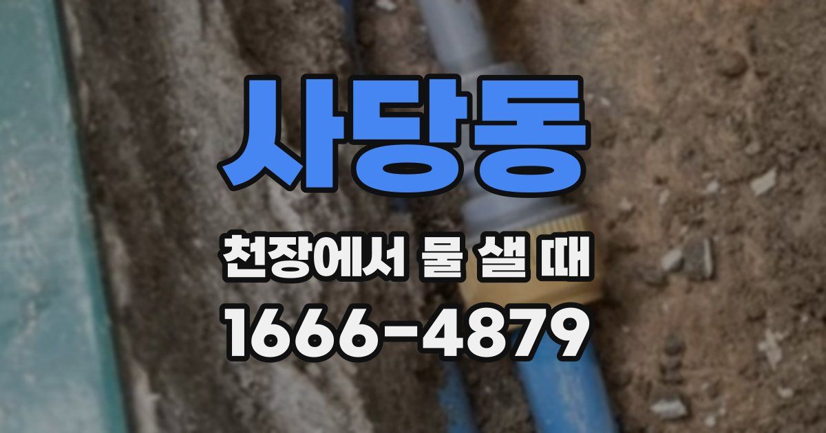 사당동 천장에서 물 샐 때