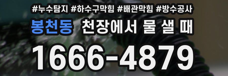 봉천동 천장에서 물 샐 때