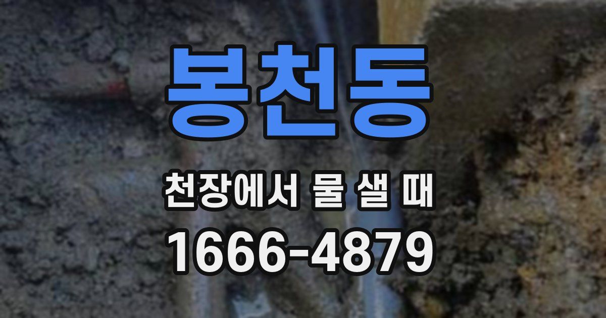 봉천동 천장에서 물 샐 때