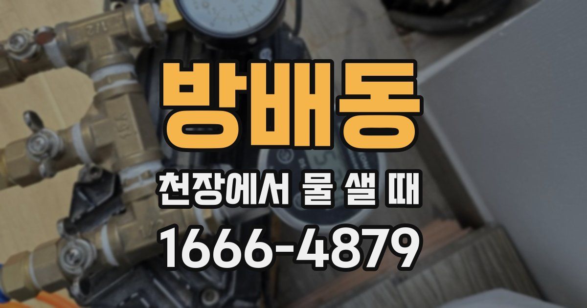방배동 천장에서 물 샐 때