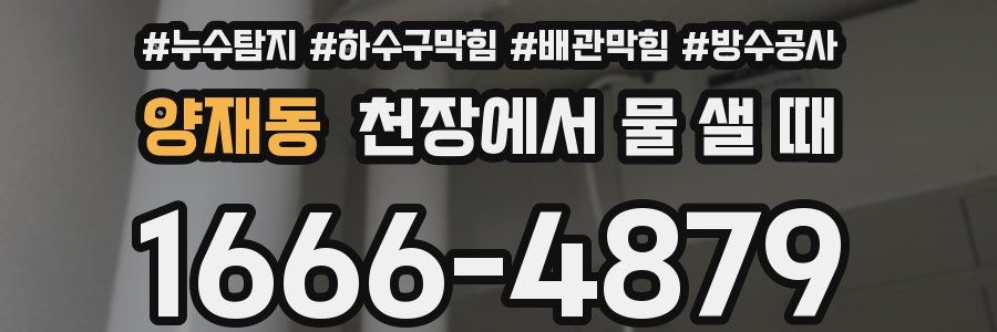 양재동 천장에서 물 샐 때