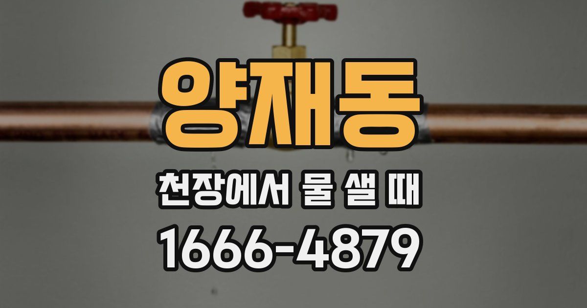 양재동 천장에서 물 샐 때