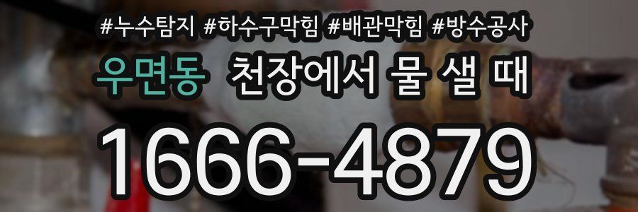 우면동 천장에서 물 샐 때