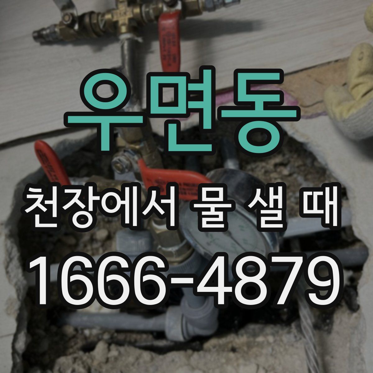 우면동 천장에서 물 샐 때