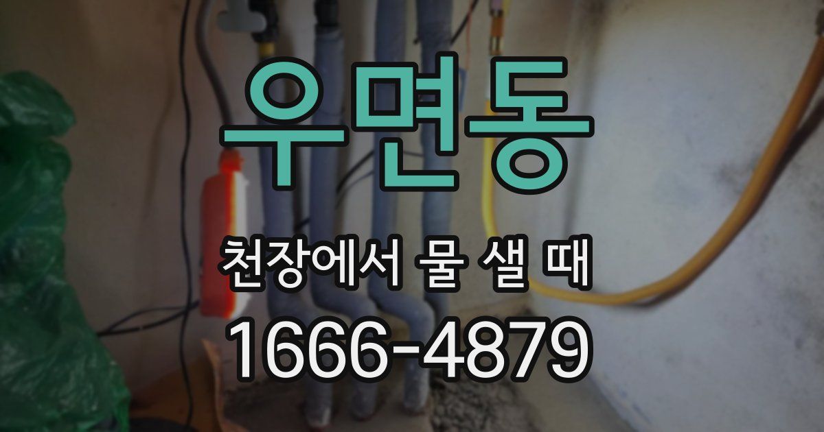 우면동 천장에서 물 샐 때