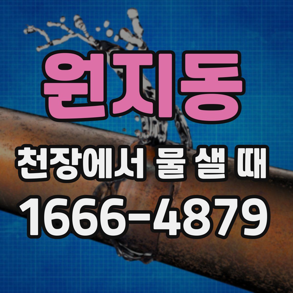 원지동 천장에서 물 샐 때