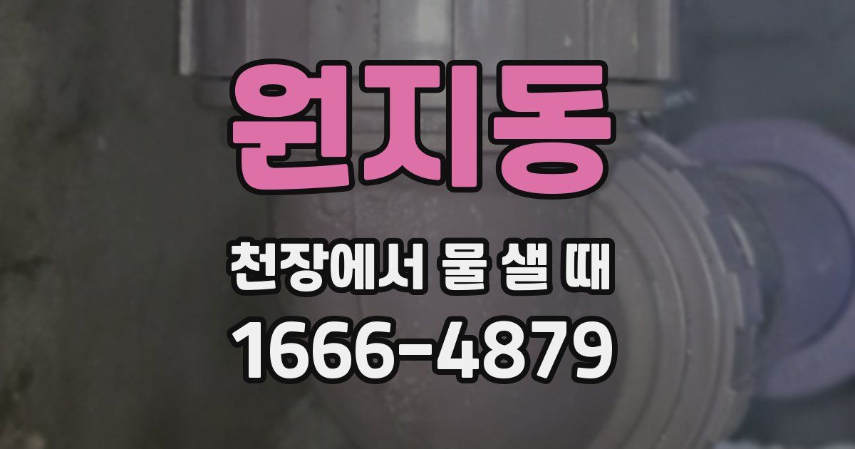 원지동 천장에서 물 샐 때