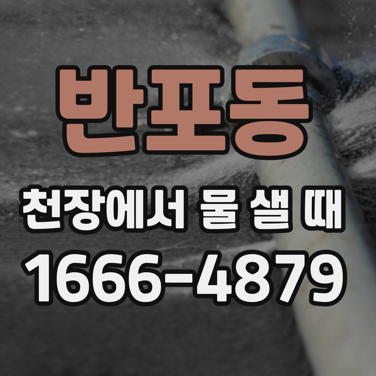반포동 천장에서 물 샐 때