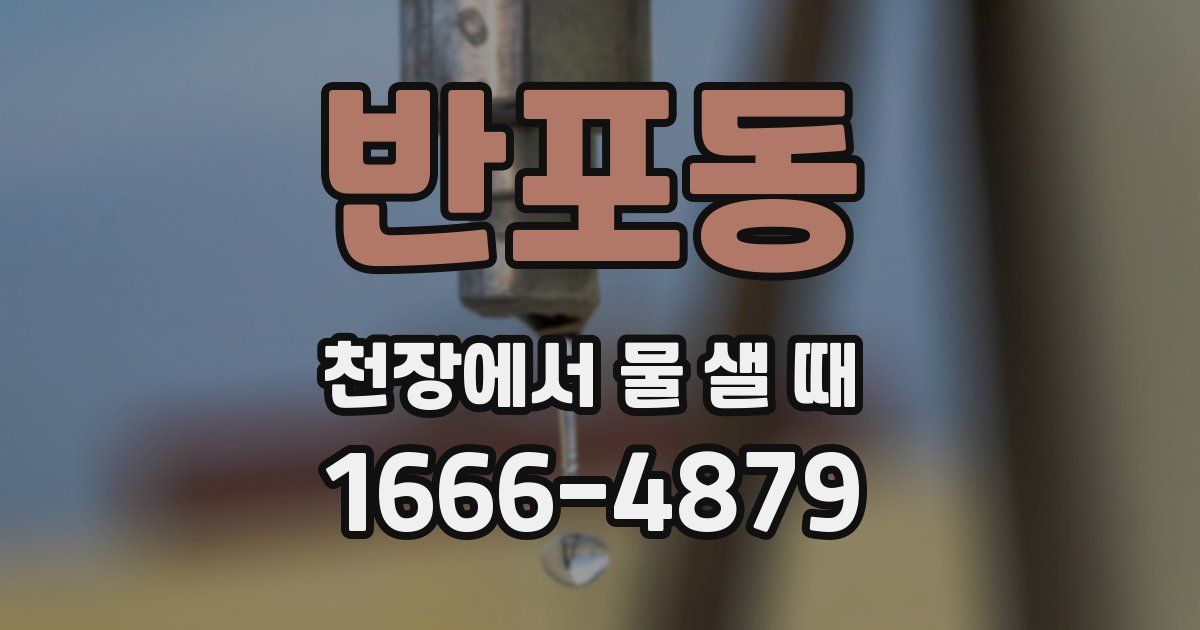 반포동 천장에서 물 샐 때