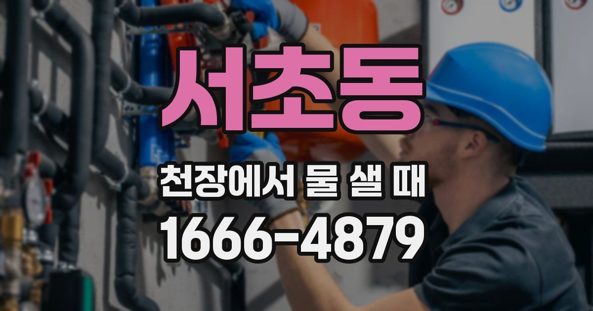 서초동 천장에서 물 샐 때