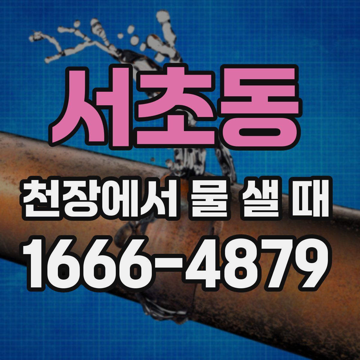 서초동 천장에서 물 샐 때