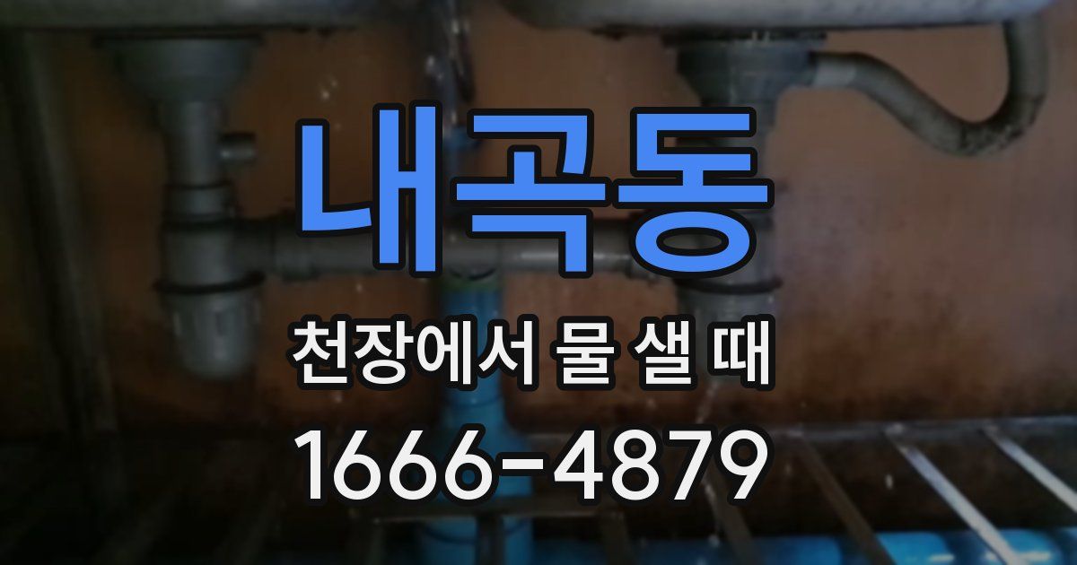 내곡동 천장에서 물 샐 때
