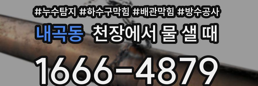 내곡동 천장에서 물 샐 때