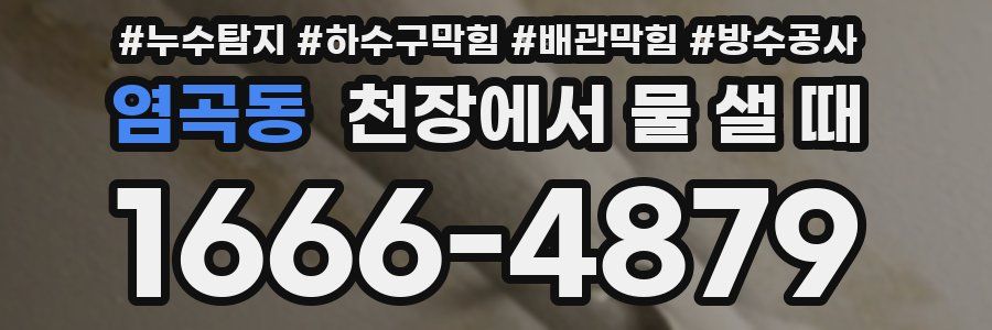 염곡동 천장에서 물 샐 때