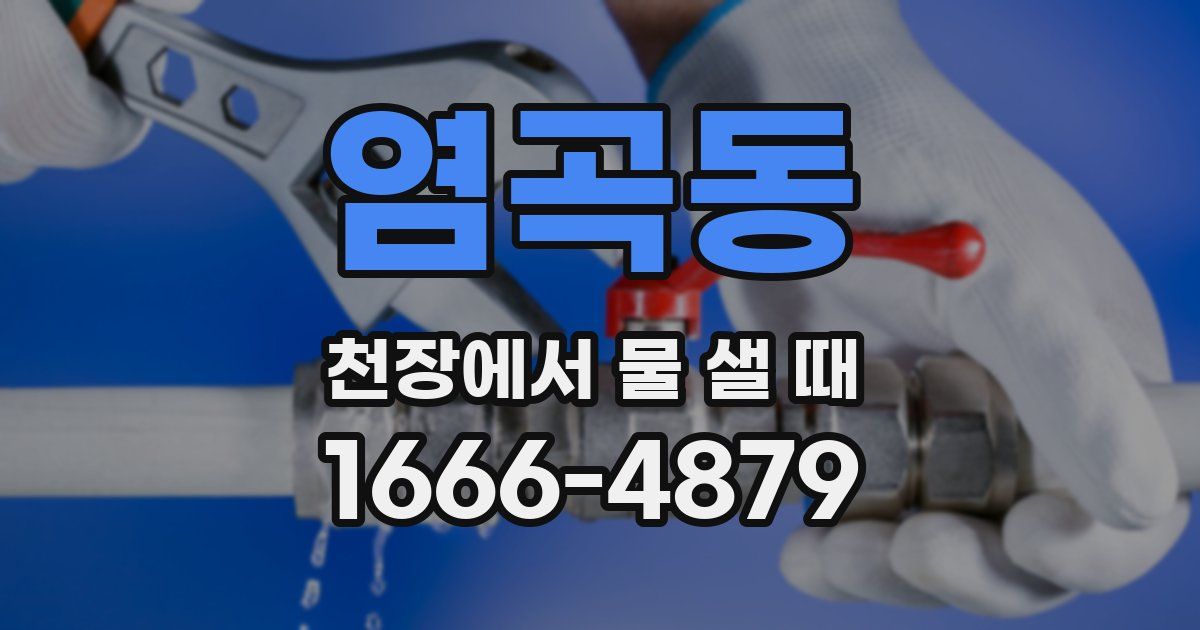 염곡동 천장에서 물 샐 때