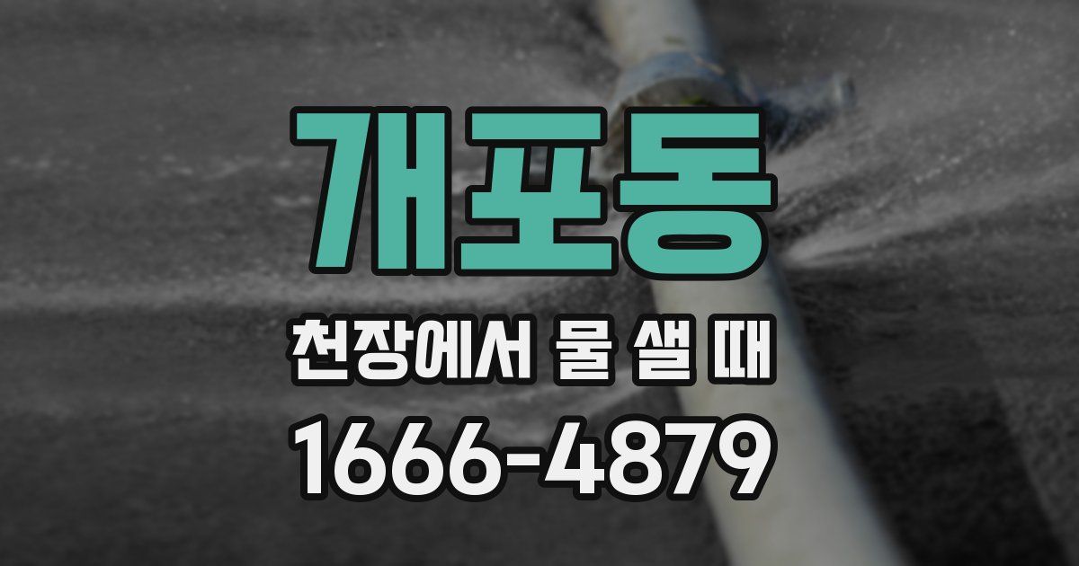 개포동 천장에서 물 샐 때