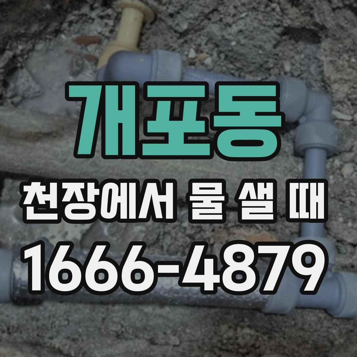 개포동 천장에서 물 샐 때