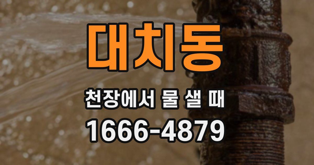 대치동 천장에서 물 샐 때