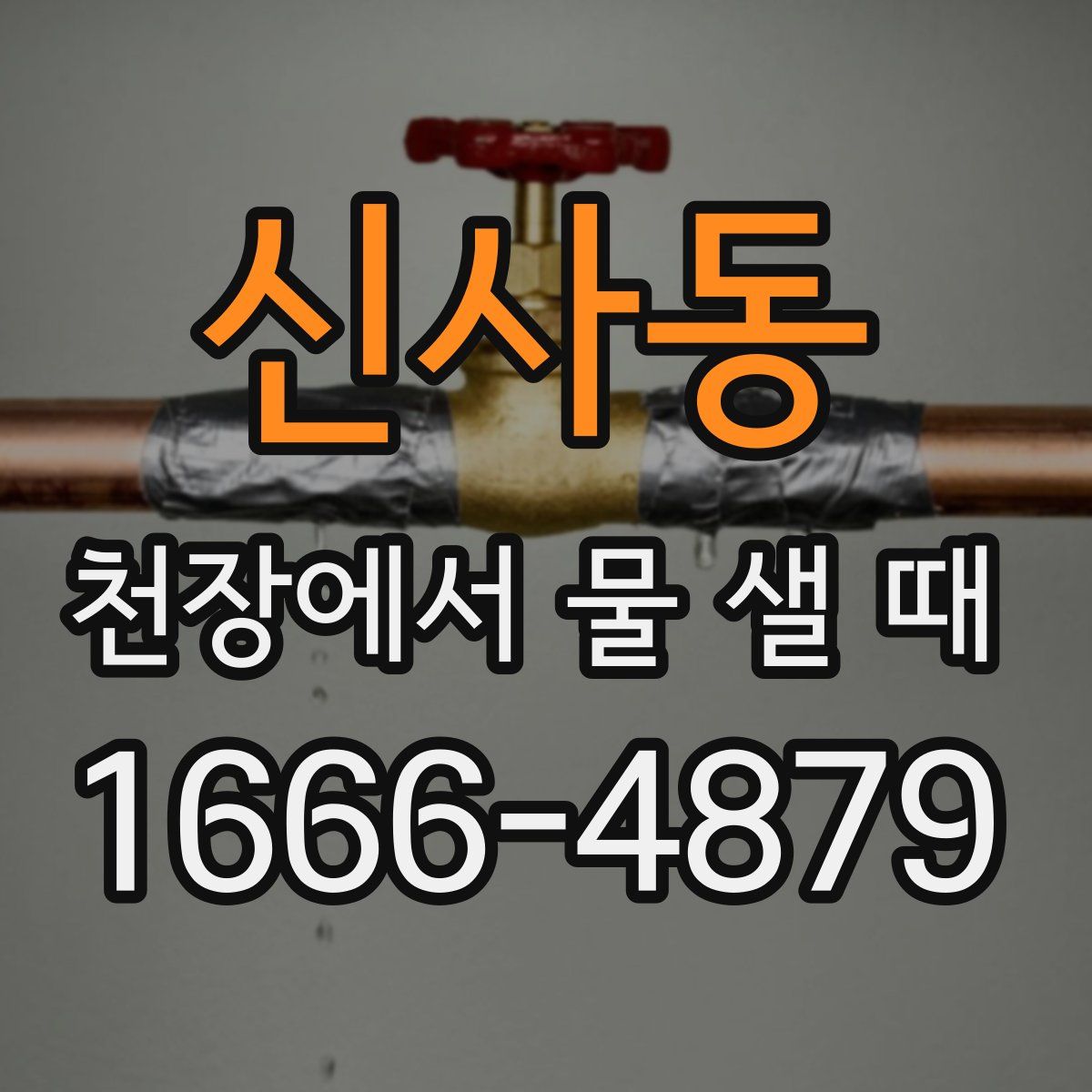 신사동 천장에서 물 샐 때
