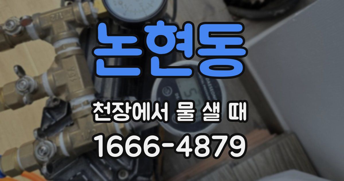 논현동 천장에서 물 샐 때