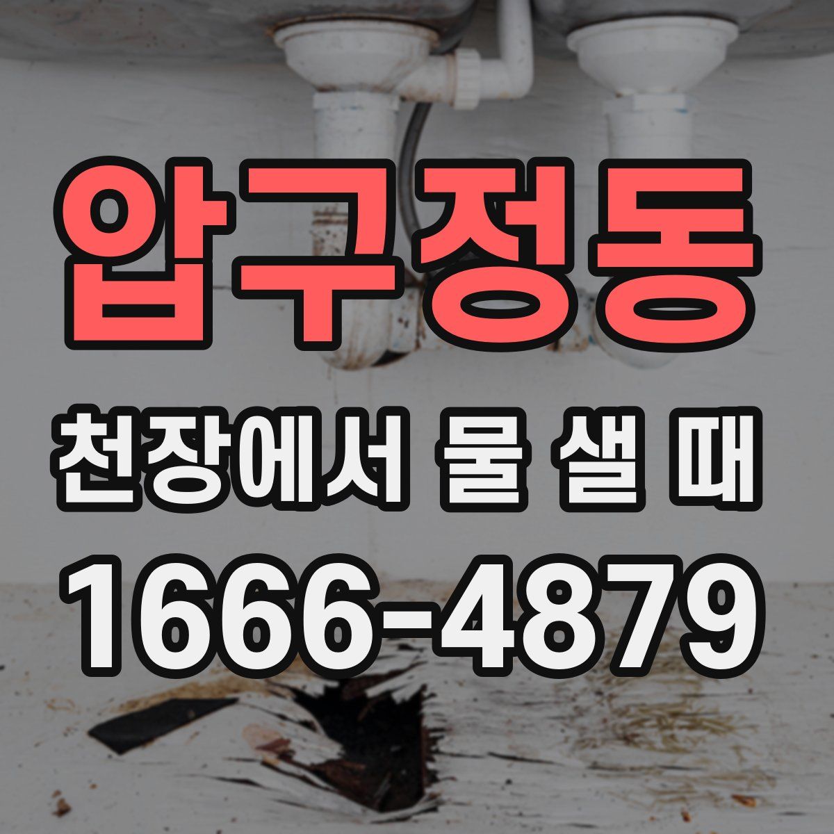 압구정동 천장에서 물 샐 때