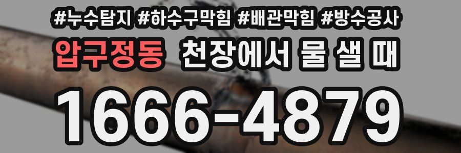 압구정동 천장에서 물 샐 때