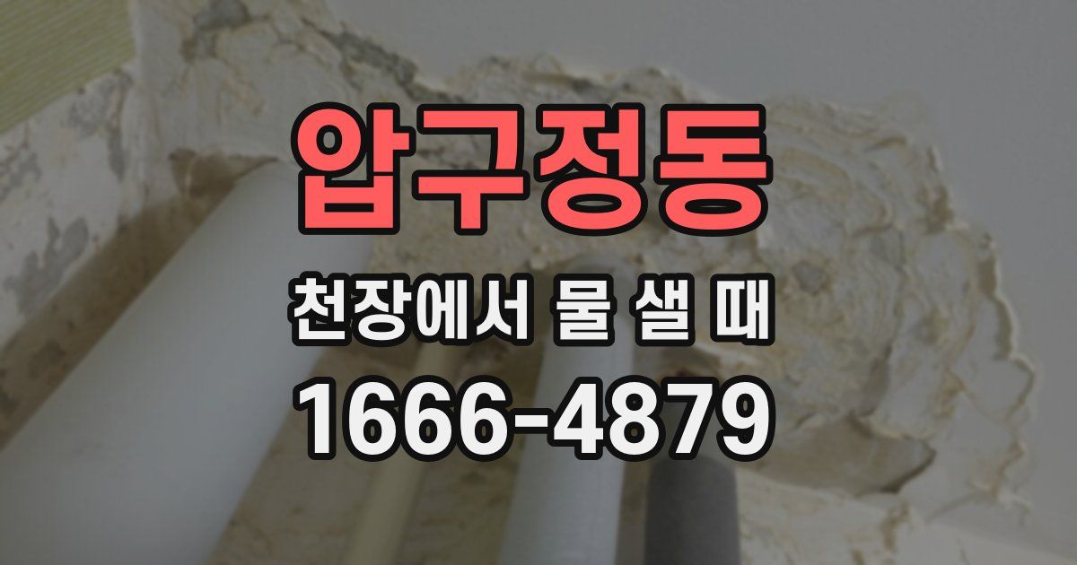 압구정동 천장에서 물 샐 때
