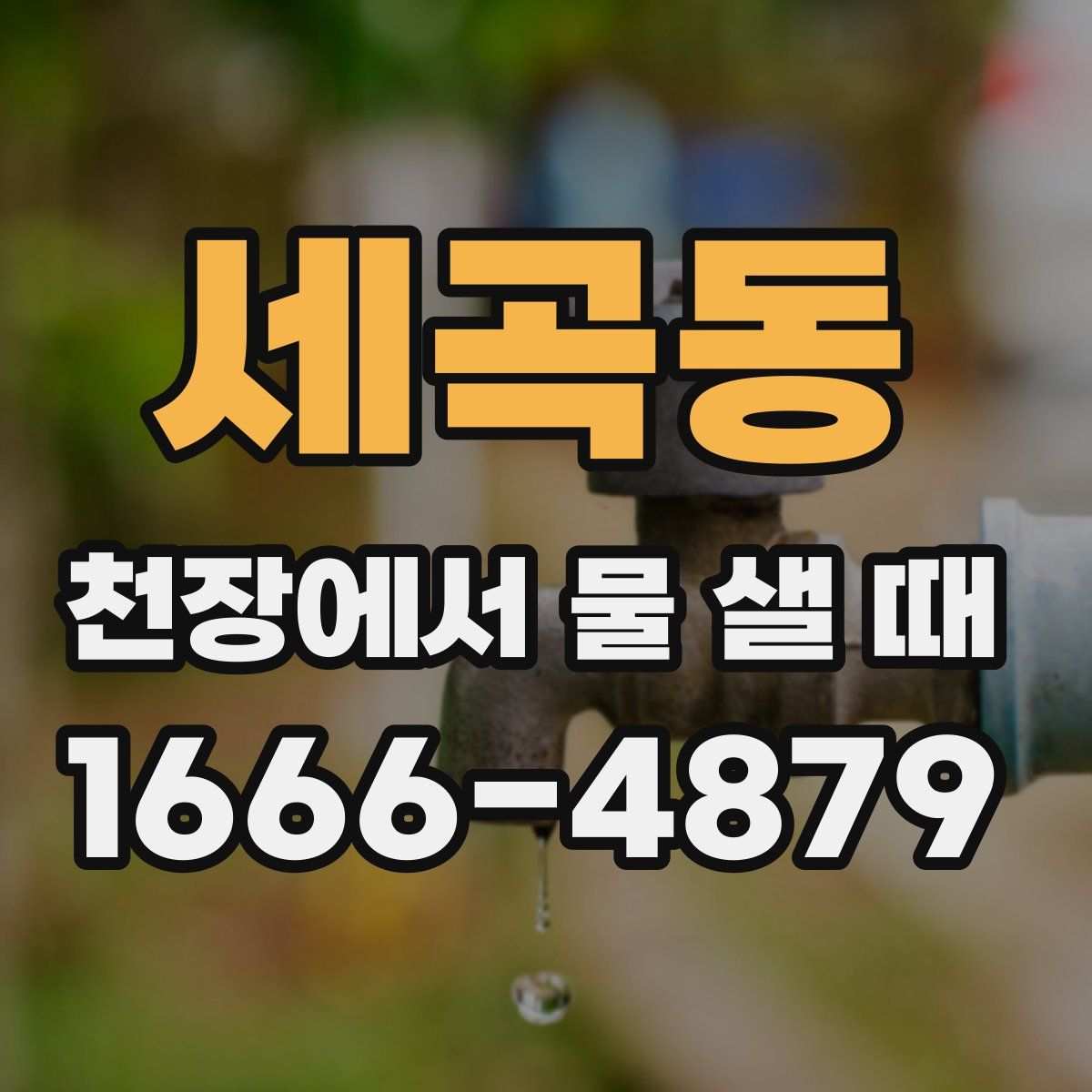세곡동 천장에서 물 샐 때