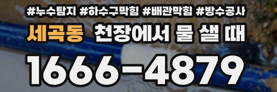 세곡동 천장에서 물 샐 때