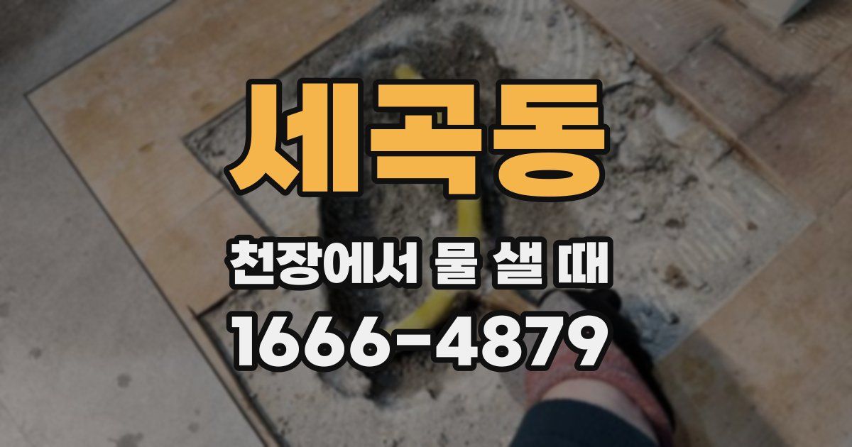 세곡동 천장에서 물 샐 때